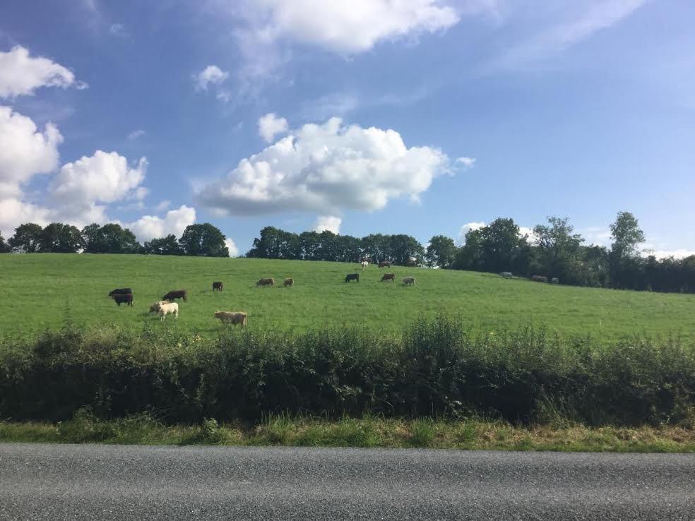 Hillview House Bed & Breakfast Cootehill Bagian luar foto